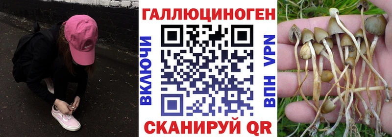мега ТОР  Макаров  Галлюциногенные грибы GOLDEN TEACHER  наркошоп 