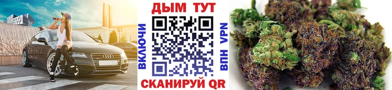 где продают наркотики  Макаров  Шишки марихуана ГИДРОПОН 